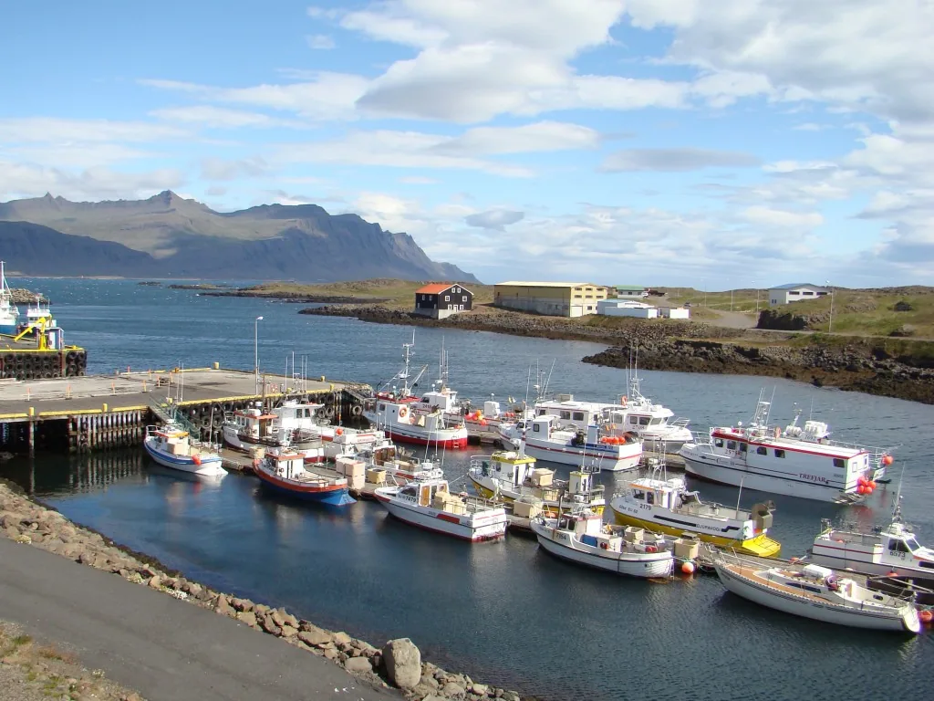 Sláttuvélar fyrir Keflavíkurflugvöll – Markaðskönnun