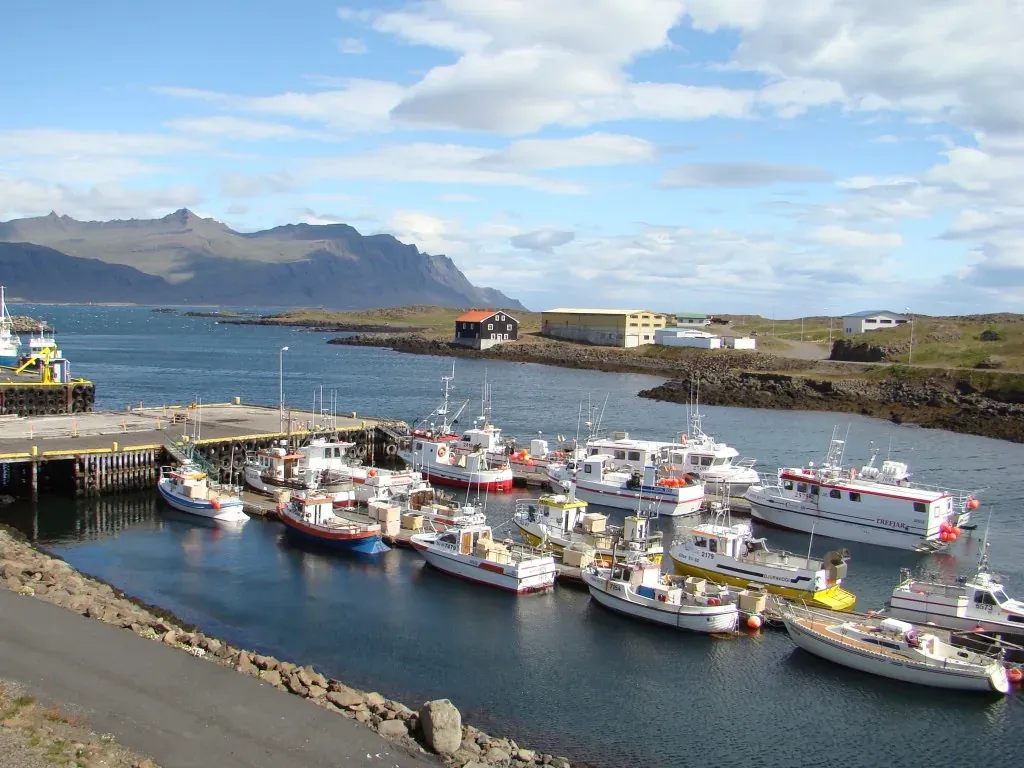 Sláttuvélar fyrir Keflavíkurflugvöll – Markaðskönnun