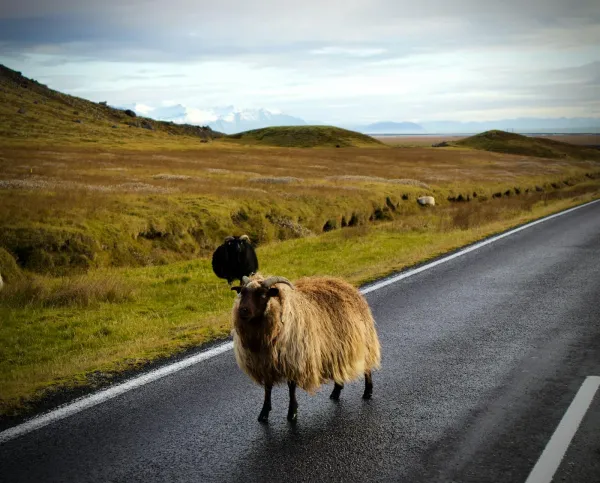 Stjórnvöld verði að færa rök fyrir því vilji þau tefja endurreisn